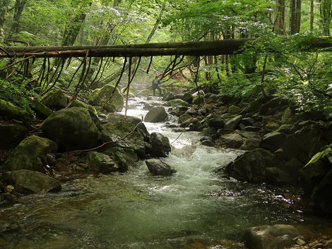 長野