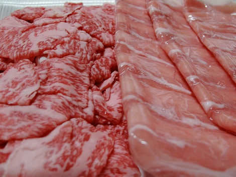 うらたん&キャンプ