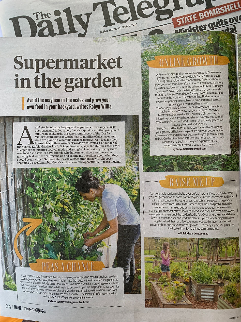 Telegraph April 2020 - p1