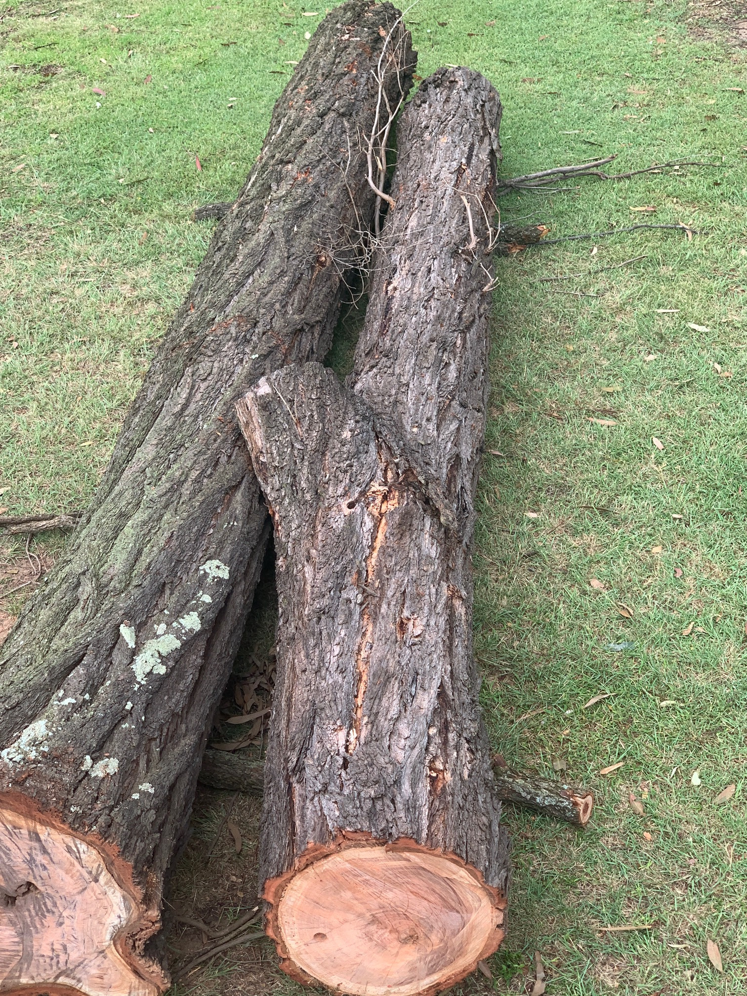 Fairly straight ironbark log 5m long, approx. 350mm diameter