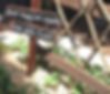 Thumbnail: Interactive Garden Sign