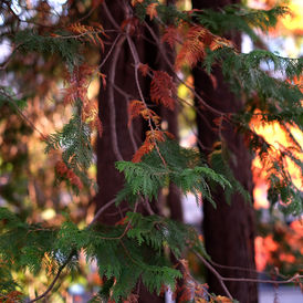 新たな環境、そして新しい家族のこと