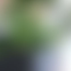 秋のイベント、始動します!