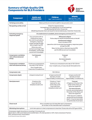 summary of high quality cpr.png