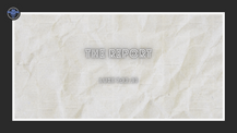 The Report