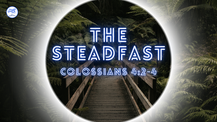 The Steadfast