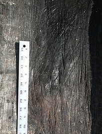 canoe result4.JPG