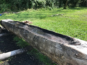 canoe result3.JPG
