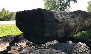 canoe result 5.JPG