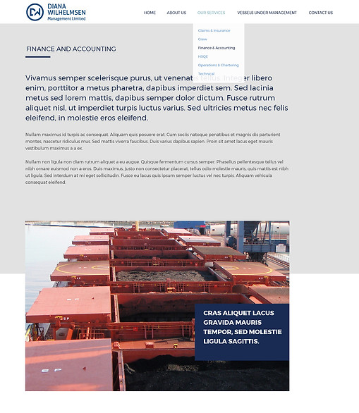 Diana Wilhelmsen Website Presentation Designs