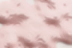 Topography 3D Artwork Backdrop