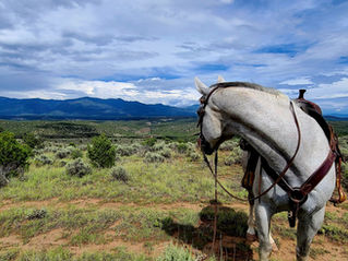 Rio Grande Gorge, NM