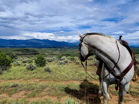 Rio Grande Gorge, NM
