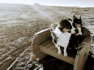 A little ditty about the Big Bend...