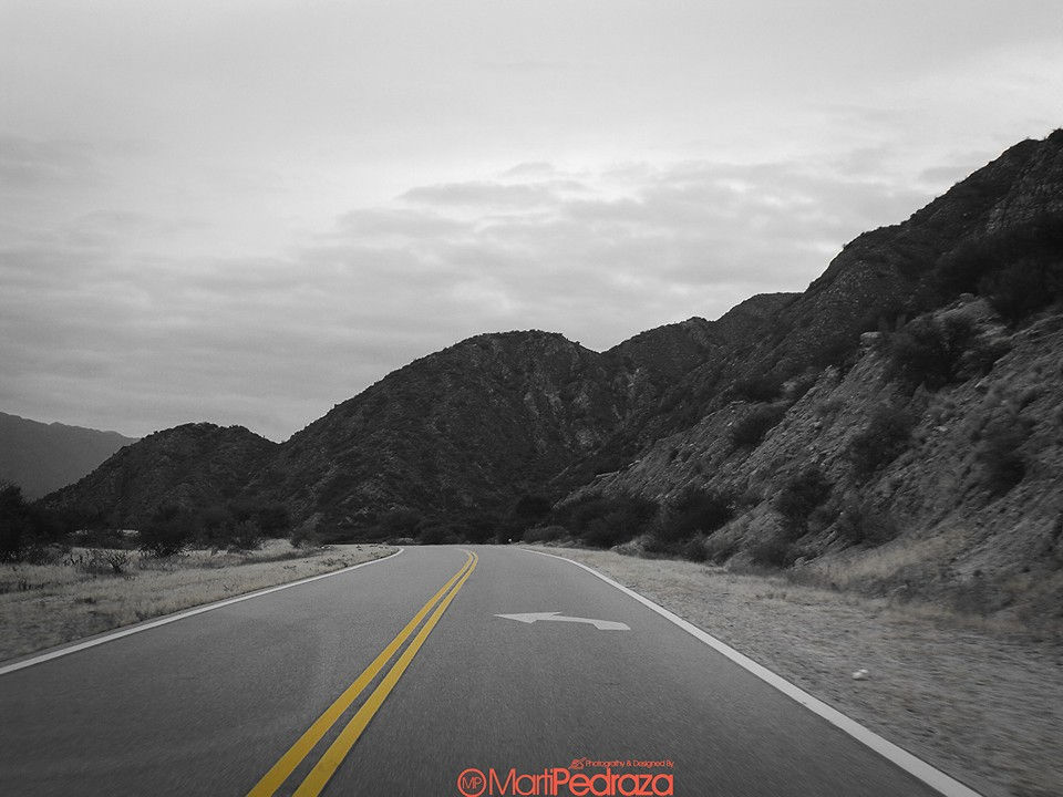 Camino