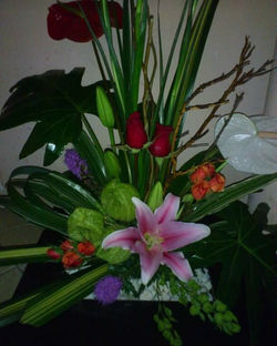 WhatsApp Image 2020-05-28 at 2.28