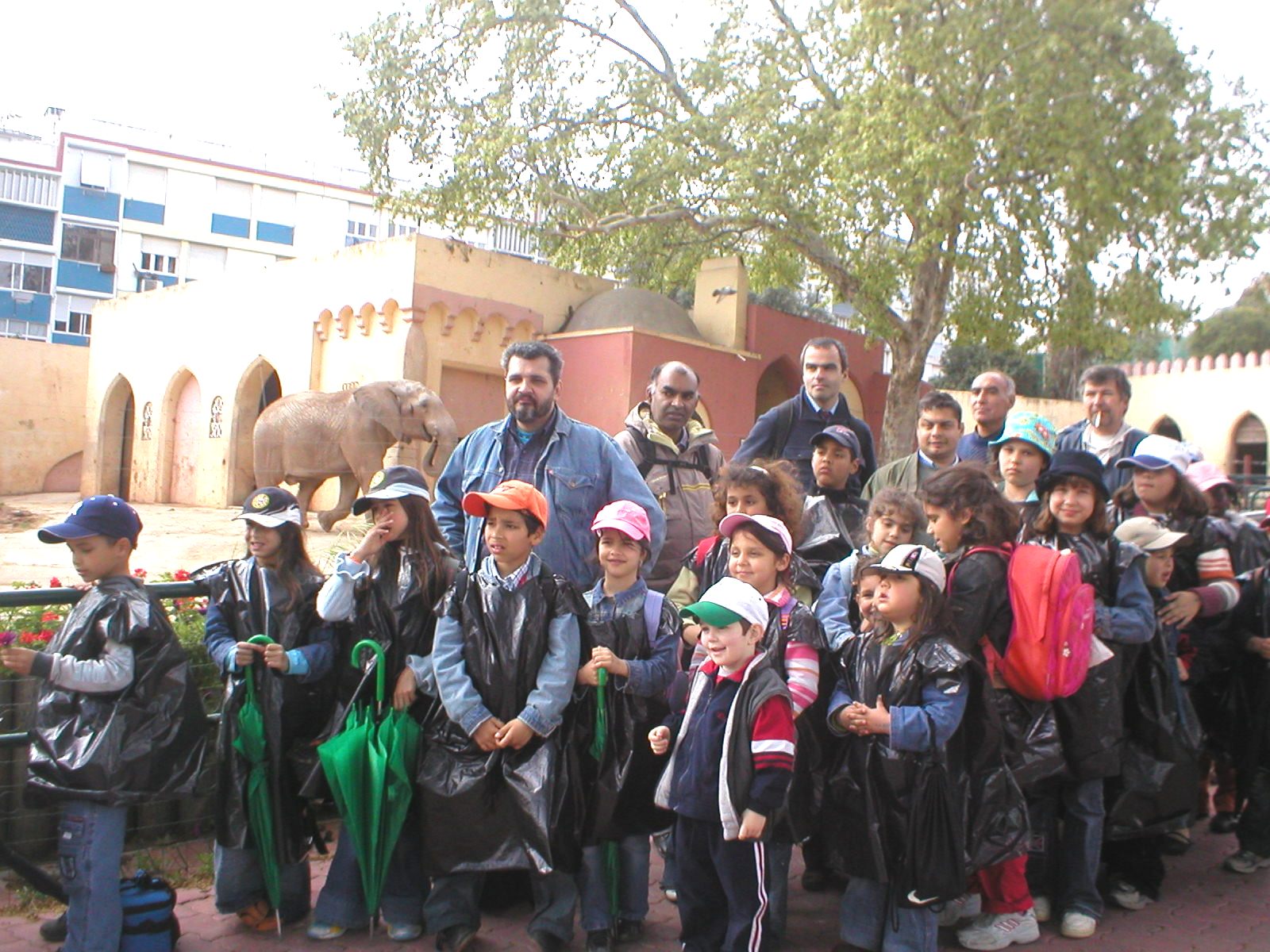 Visita ao Zoo - Lisboa