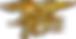 SEAL Trident Gold.png