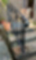 IMG_8857_edited.jpg