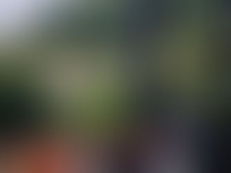 September-Wyld Times