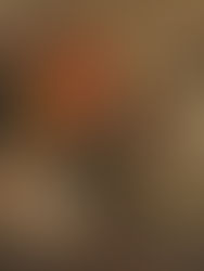 «Архив еврейской истории». Том 13