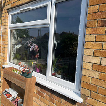 A window on a brick wall reflects a garden scene, with flowers visible inside
