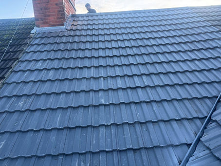 Storm Damage Roof Repair Brighton: What Homeowners and Small Businesses Should Do First