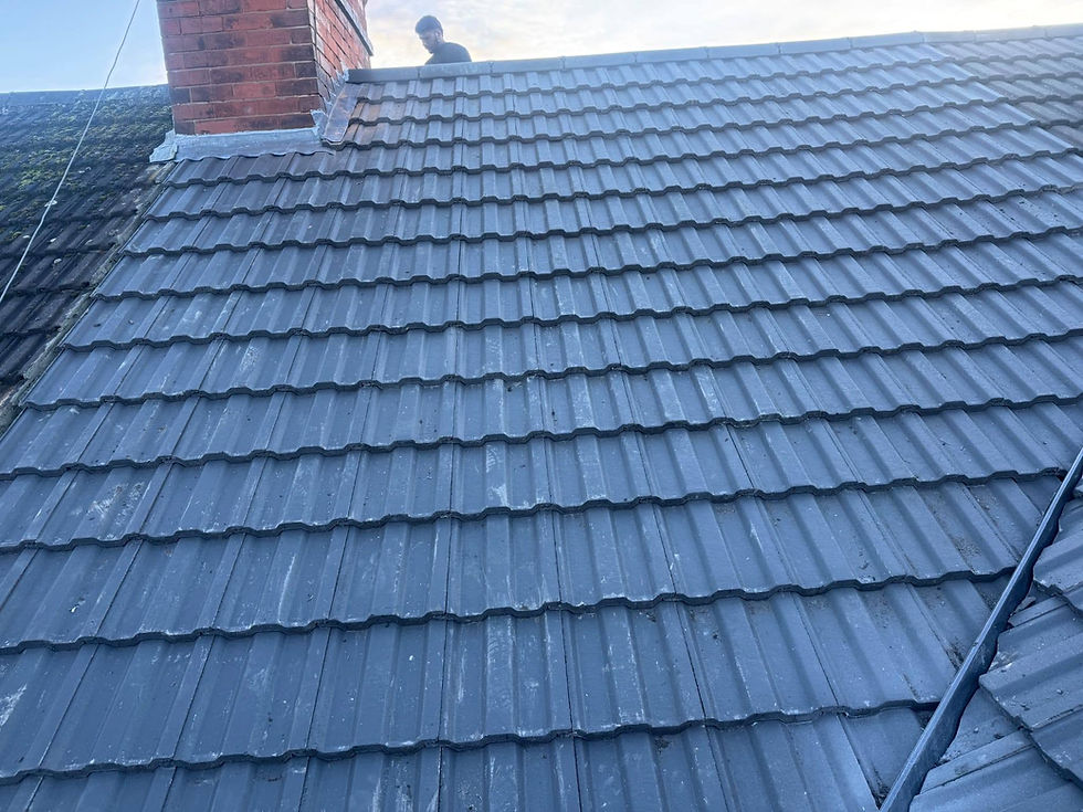 Storm Damage Roof Repair Brighton: What Homeowners and Small Businesses Should Do First