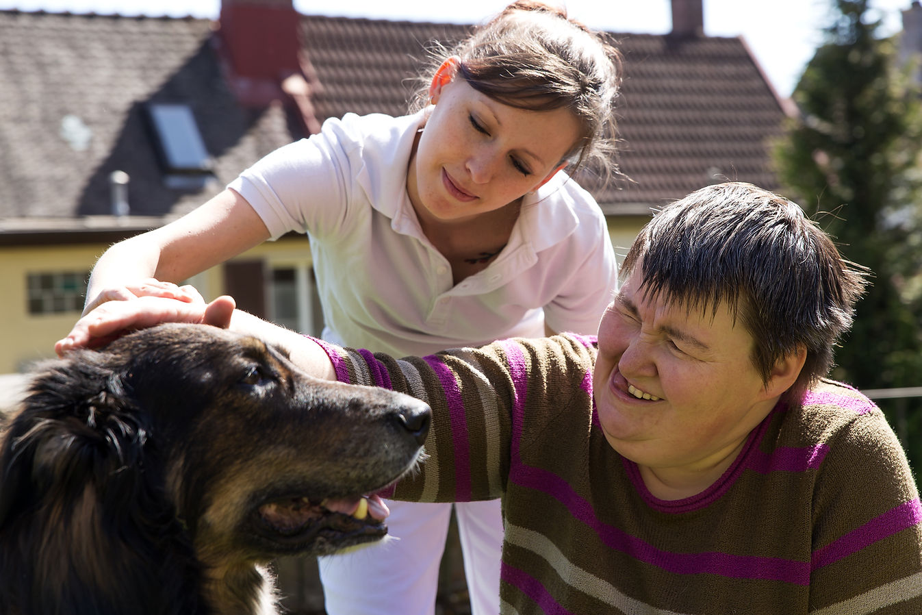 animal-assisted therapy with a half breed dog and a therapist
