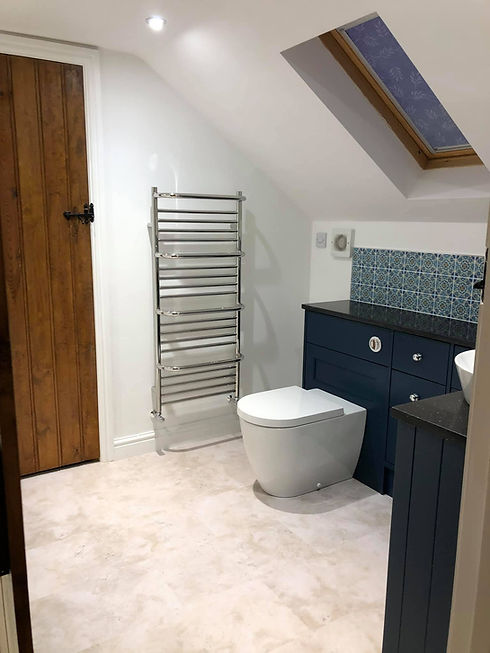 Interior view of a bathroom showcasing a blue cabinet beside a white toilet, complemented by light-colored walls
