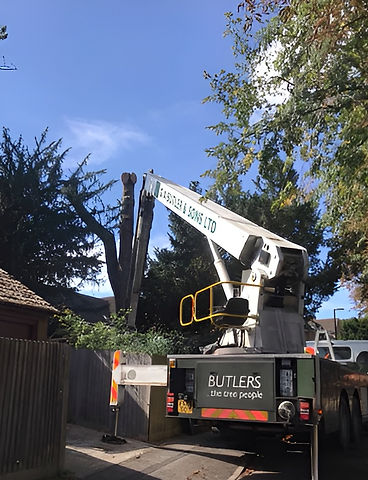 A tree service truck with an extended crane is parked on a suburban street beside a wooden fence