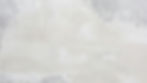 white background.jpg