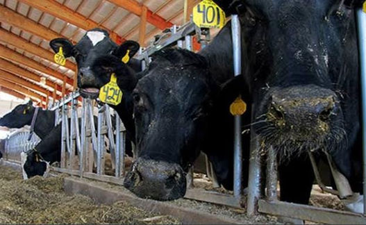 WhatsApp Image 2021-10-13 at 11.13.07.jpeg