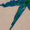 Thumbnail: Starfish from the Series #1