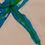 Thumbnail: Starfish from the Series #1