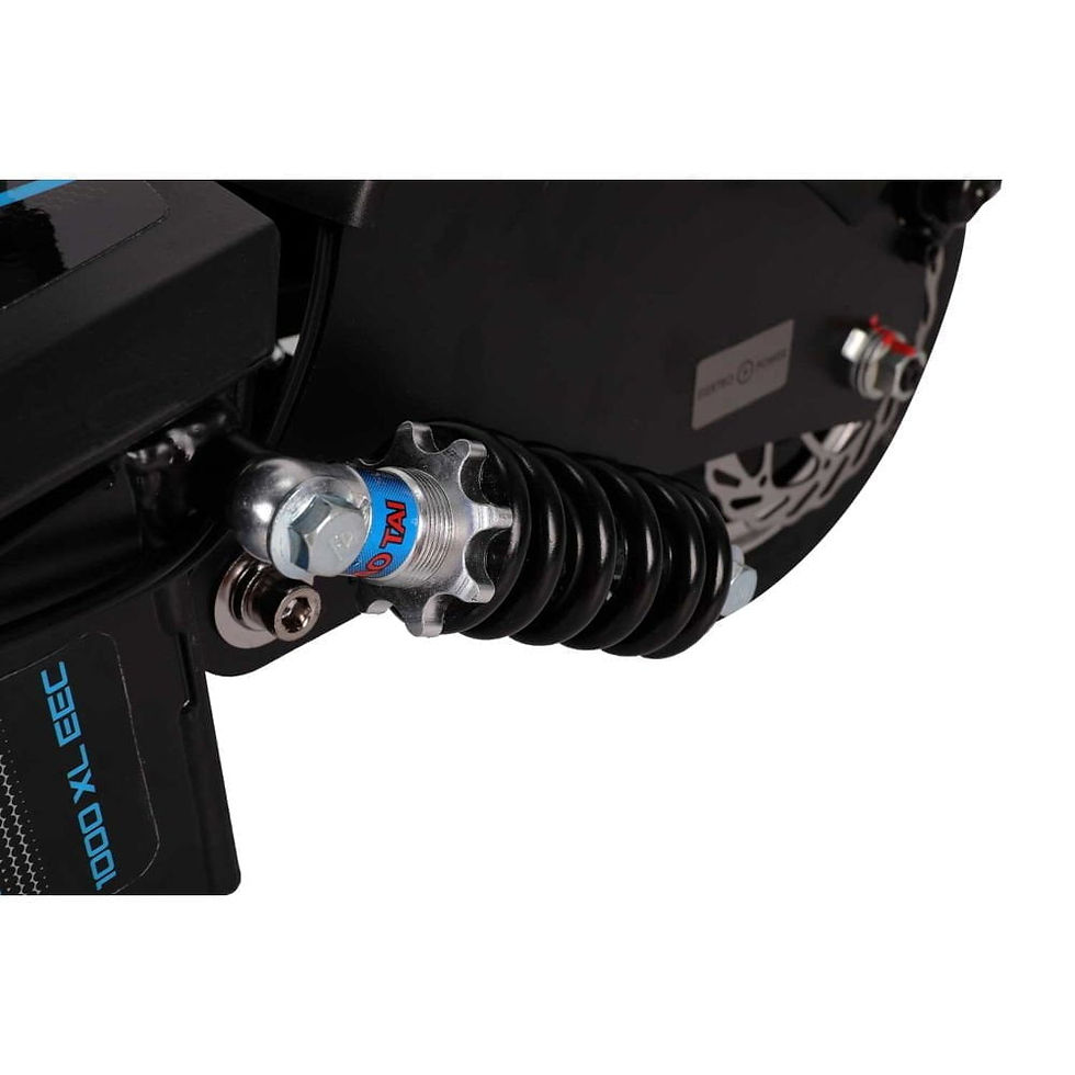 Miniature : SXT 1000 XL EEC Facelift eScooter