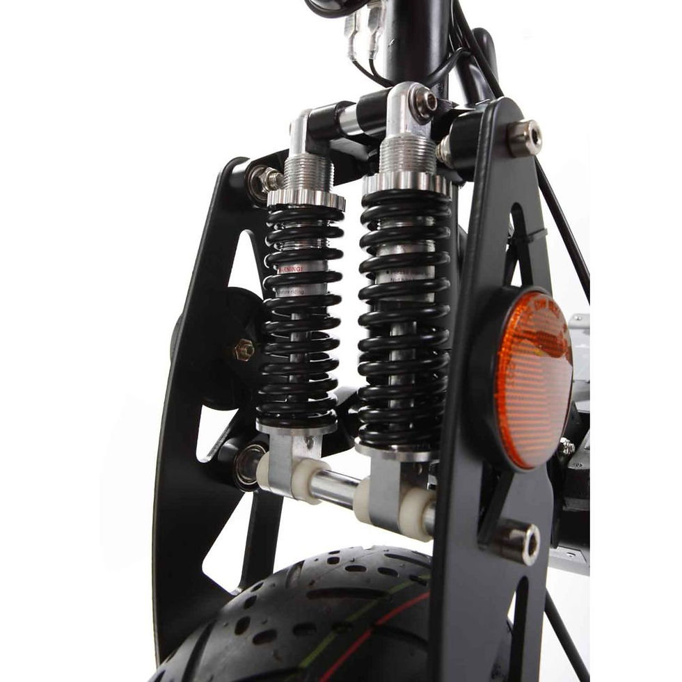 Miniature : SXT 500 EEC Scooter électrique