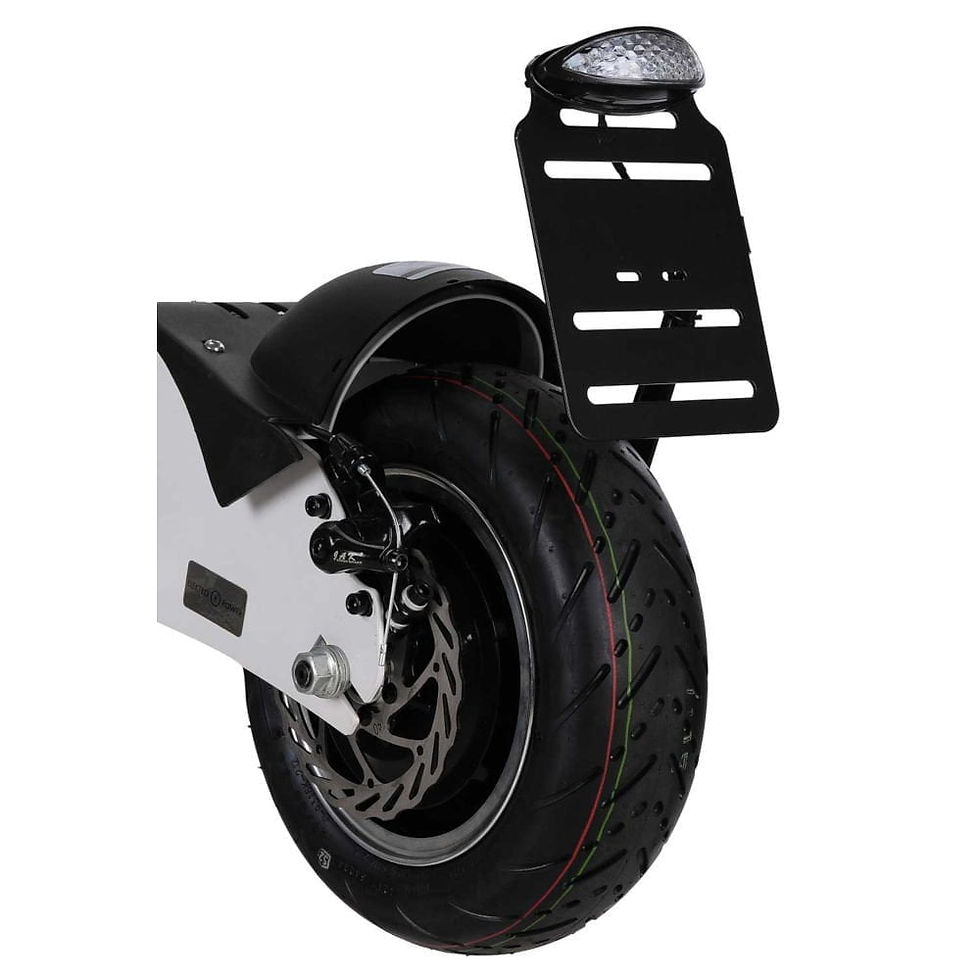 Miniature : SXT 1000 XL EEC Facelift eScooter