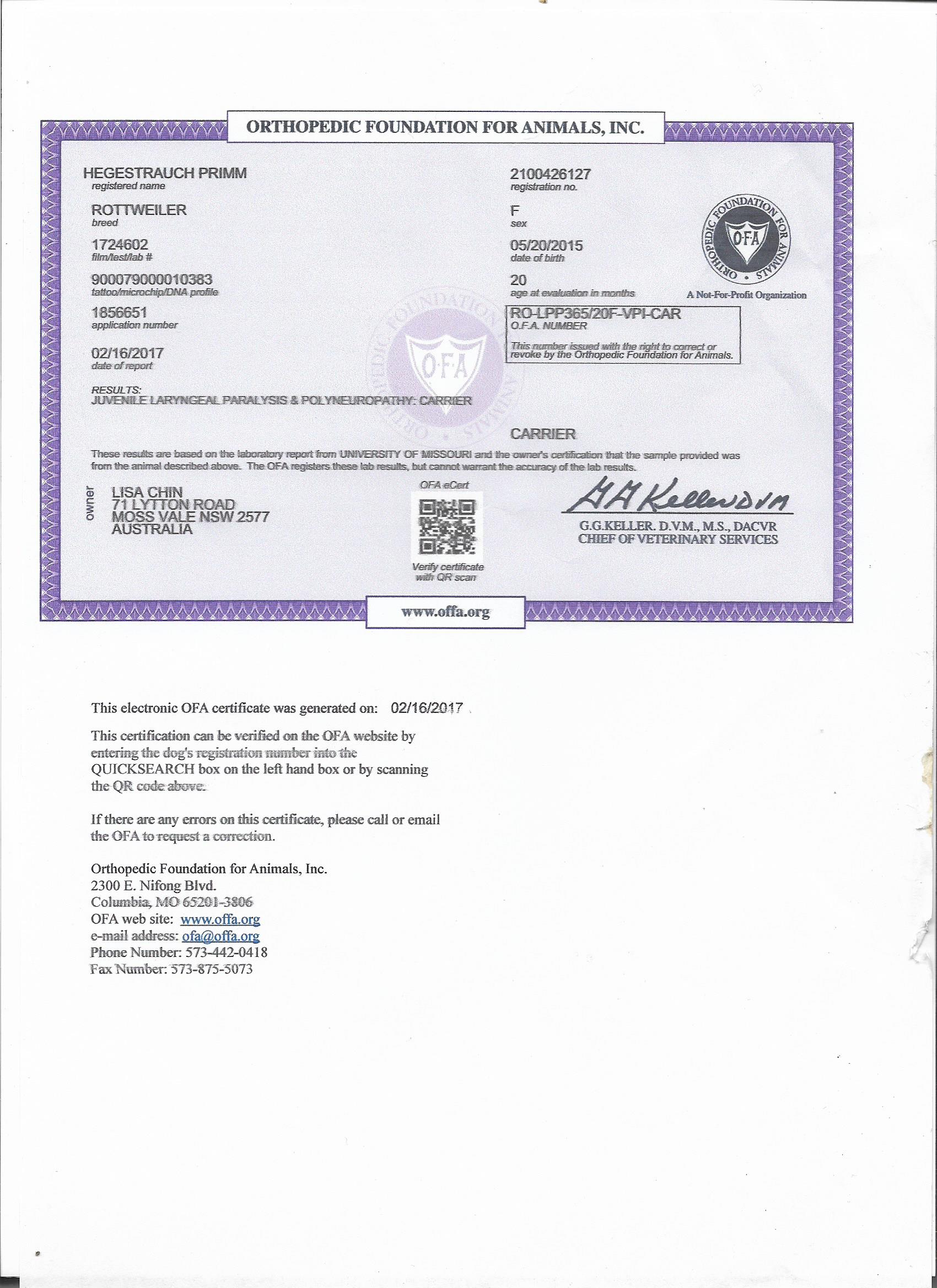 Prim JLPP 001