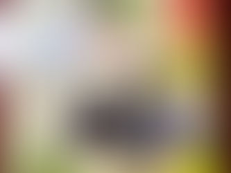 2024.1.7　箏道音楽院ニューイヤーコンサートin岡山