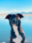 IMG_6922.jpeg