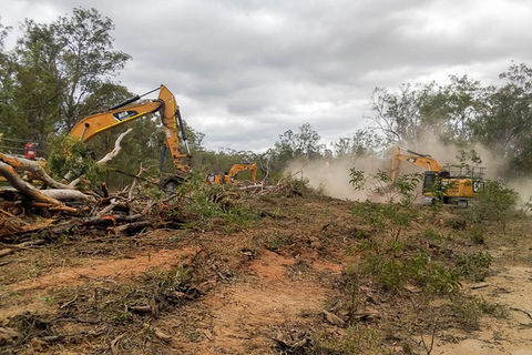 Three excavators knocking down trees in bushland.