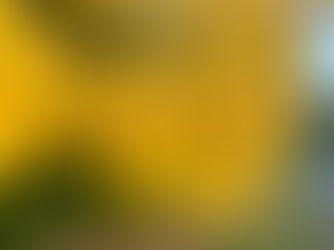 Navigating Loss and Discovering Life's True Essence