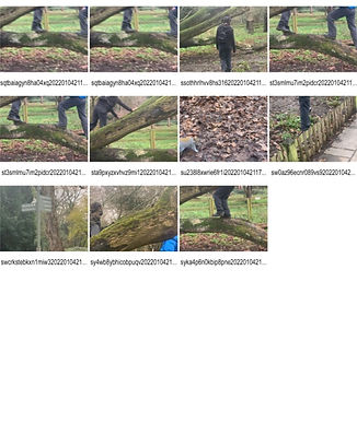 Screenshot (281)_edited.jpg