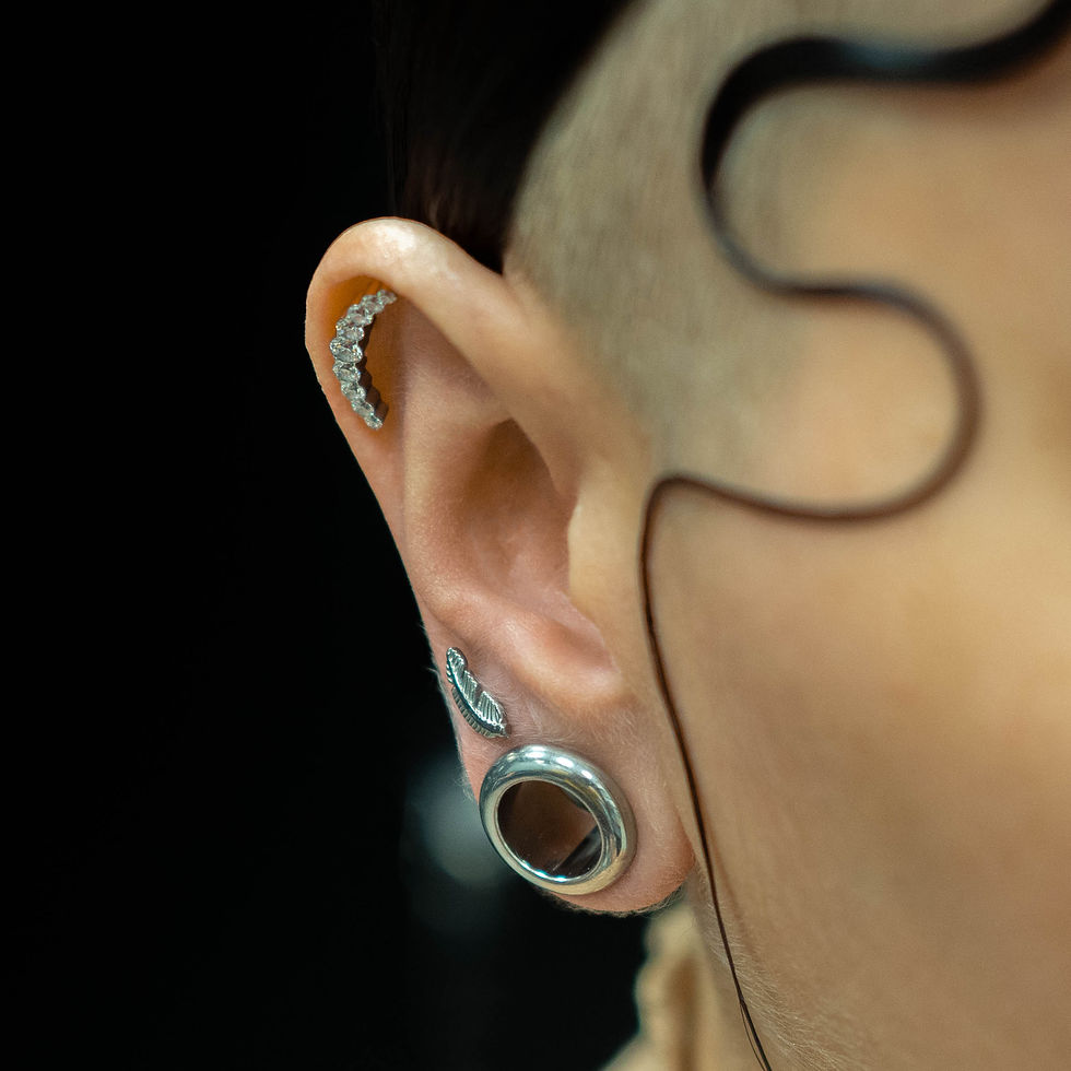 Miniatura: Ptasie piórko