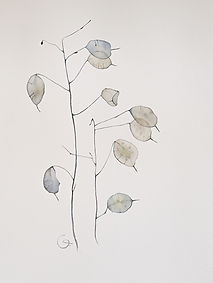 Lunaria | Watercolor | UKRAINE