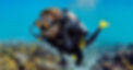 open-water-diver.jpg