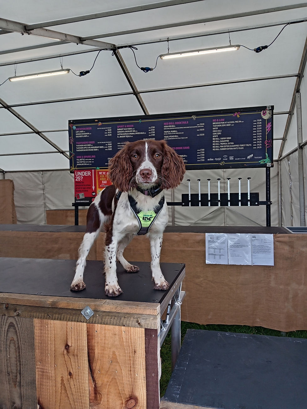 Waiting for refreshments