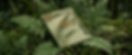 LIVRO_ECOS_2026_IA.jpeg