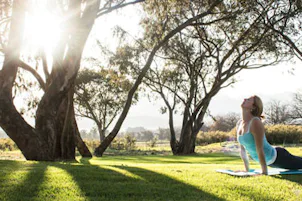 yoga1.webp